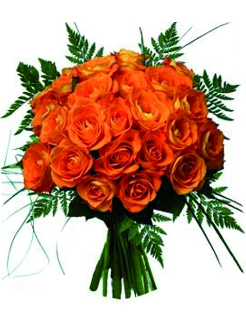 24 rose arancioni