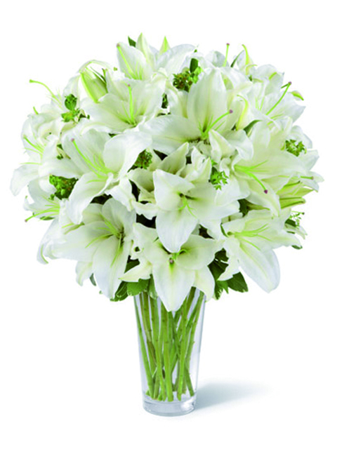 Bouquet di gigli bianchi con consegna a domicilio, Un pensiero delicato ideale sia per le occasioni di nascita che per le altre occasioni di festa o tristi.