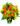 bouquet-di-rose-e-gerbere-arancio-con-mimosa.jpg