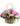 cesto-di-fiori-dai-toni-rosa.jpg