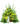 cestro-di-rose-e-fiori-gialli-e-fiori-bianchi-1.jpg