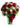 rose-rosse-e-bianche.jpg