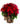 stella-di-natale-rossa.jpg