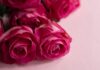 Mazzo di rose dai mille colori