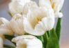 consegna di bouquet in tutto il mondo
