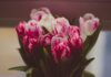 i fiori da regalare in ogni momento