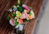 quali fiori regalare per un compleanno o anniversario